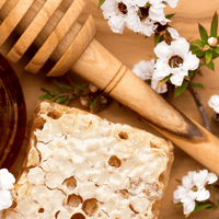 Los 9 beneficios de la miel de Manuka