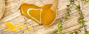 ¿Es la miel de Manuka mejor que la miel normal? Una guía completa