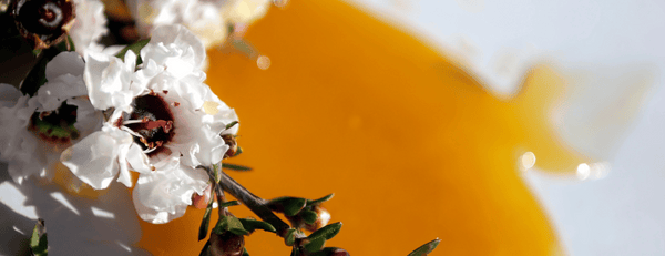 ¿Qué es la miel de Manuka?